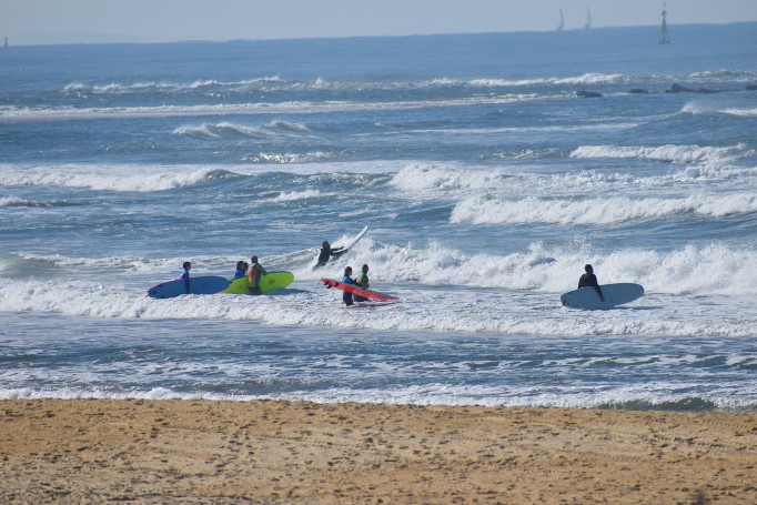 Nobbys Beach Newcastle Australia
