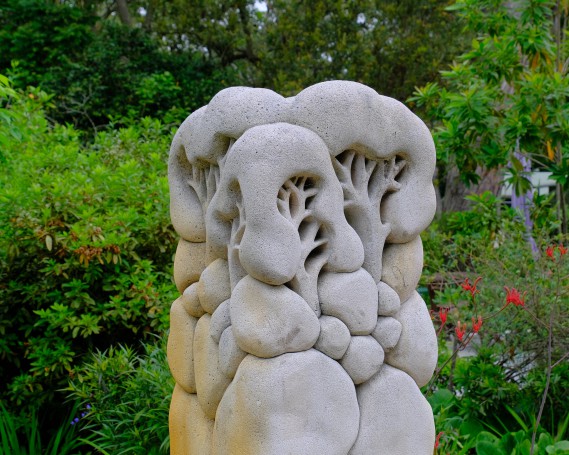 Hunter Region Botanic Gardens, Heatherbrae, NSW, Australia.02