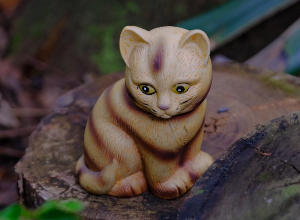 Hunter Region Botanic Gardens, Heatherbrae, NSW, Australia