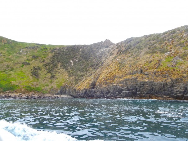 Tasmania. The southern coast of Bruny Island facing the Southern Ocean.