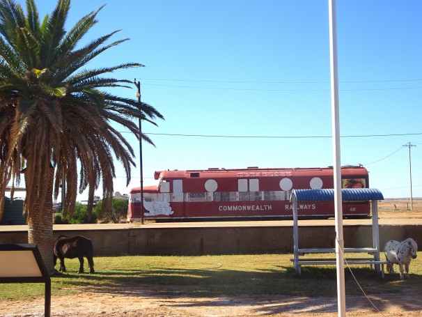 Marree. The Commonwealth Railways railway station where the old Ghan began to Alice Springs.