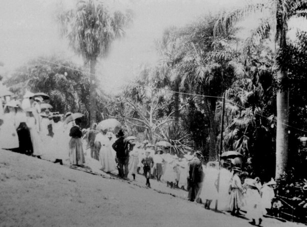 Crowd celebrating Federation Day in the City Botanic Gardens, Brisbane, 1 January, 1901