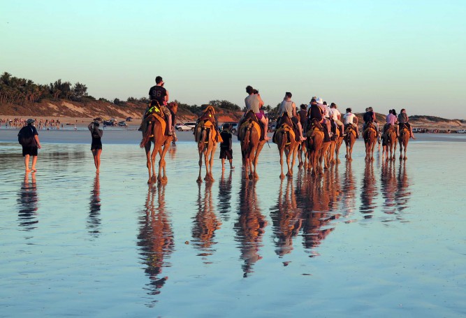 Cable Beach Camels
