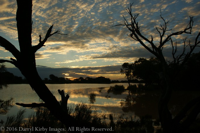 Beresford Siding on the Old Ghan Railway, along the Oodnadatta Tk. SA