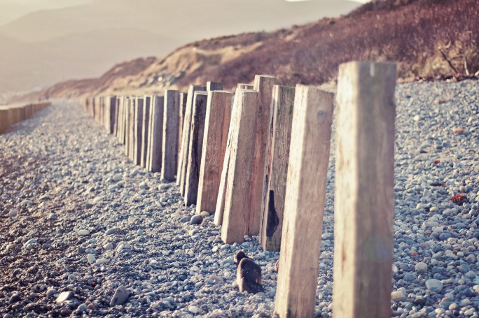 Wintery Day at Murlough Beach - golden sunlight