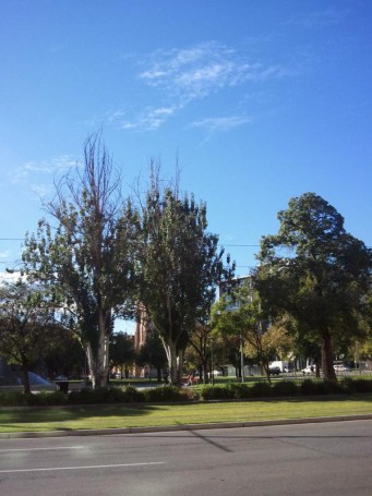Victoria Square, Adelaide.