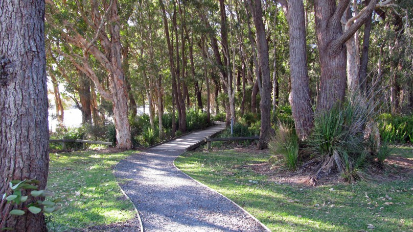 Tanilba Bay Boardwalk