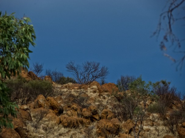 Landscape View Hillside Olive Pink Botanic Garden, Alice Springs