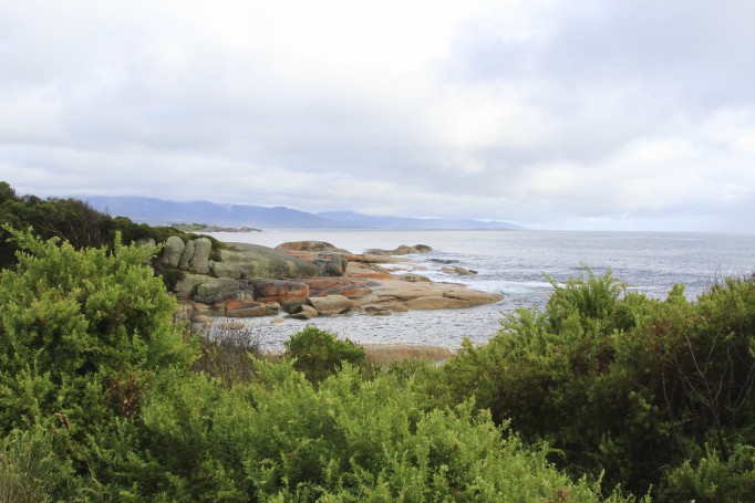 Bicheno, East Coast, Tasmania
