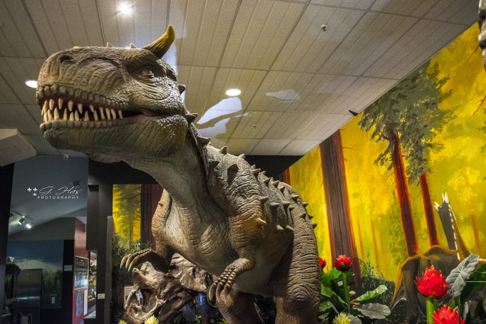 Carnotaurus - National Dinosaur Museum Canberra