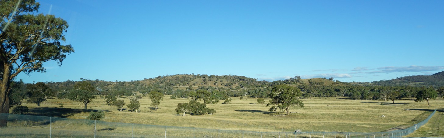 View of Throsby GOOROOYARROO to Old Joe Hill bushland