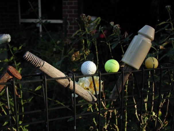 Evening collection on a fence. The old C3040Z still takes nice images.