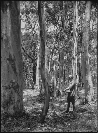 Hans Heysen sketching, Adelaide Hills, photographed by R. Donaldson
