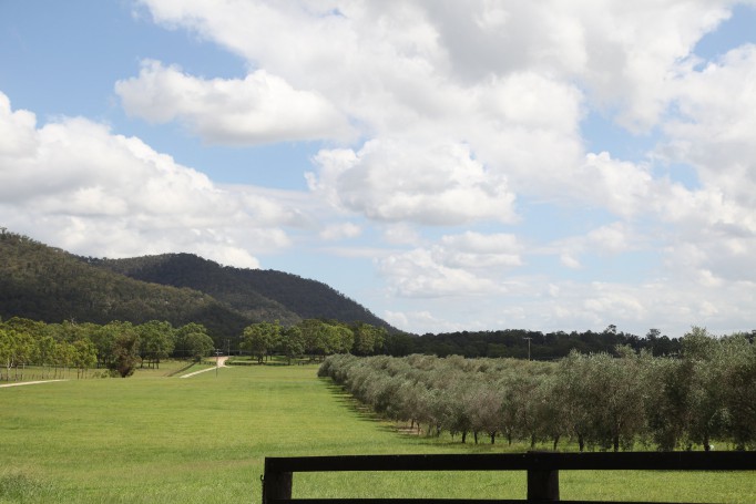 Hunter Valley Wine Region