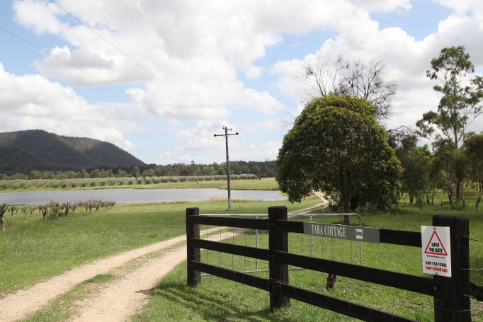 Hunter Valley Wine Region