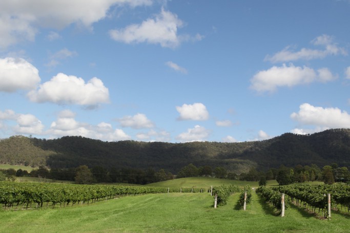 Hunter Valley Wine Region