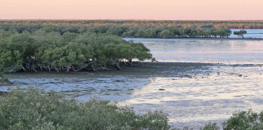 Roebuck Bay twilight