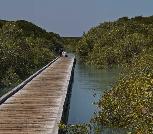 G1X0345 Streeter's Jetty at High Tide