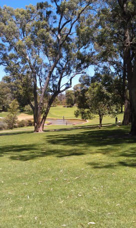Kings Park, Perth