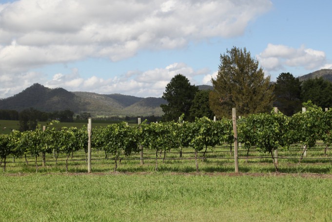 Hunter Valley Wine Region