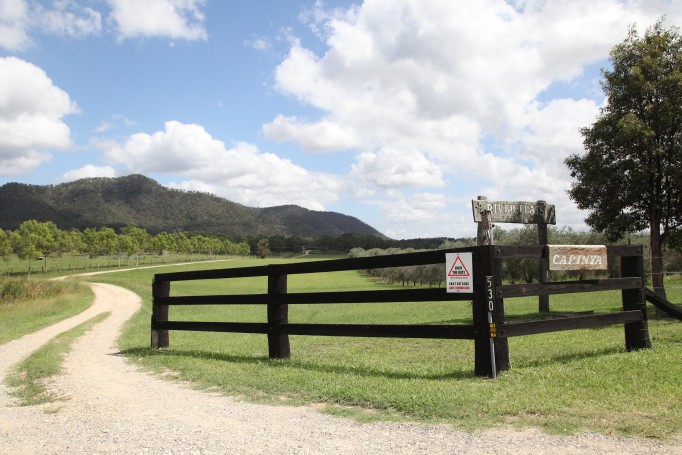 Hunter Valley Wine Region