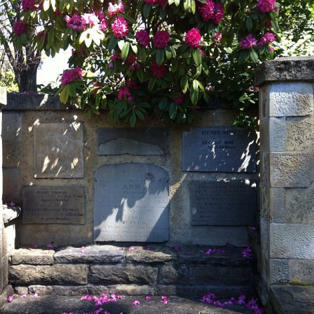 Life and death. St. David's Park, Hobart, Tasmania