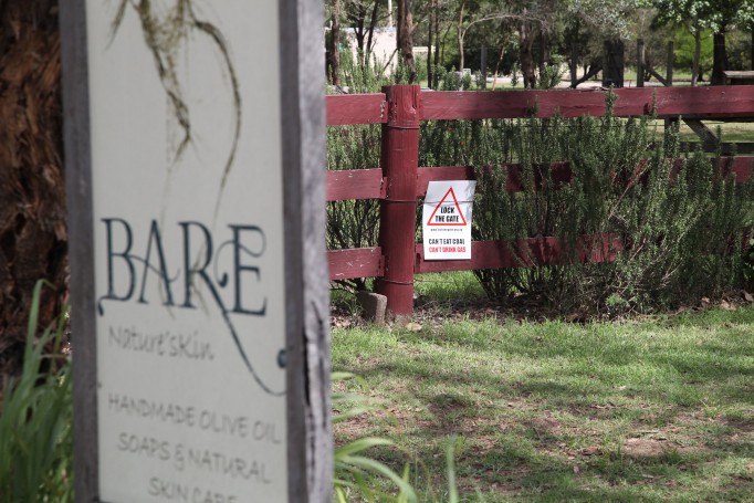 Hunter Valley Wine Region