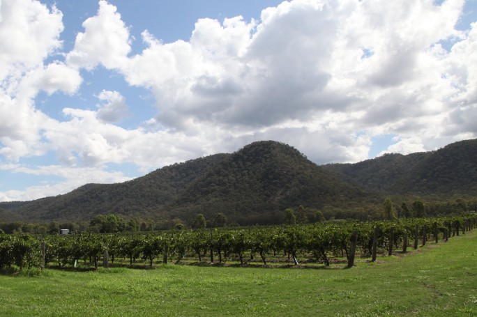 Hunter Valley Wine Region