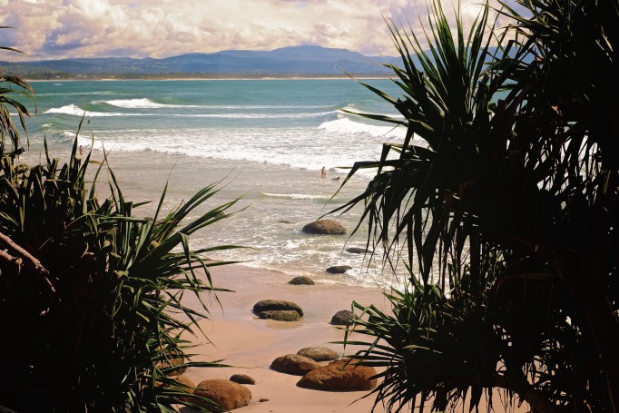 Glimpse beyond the pandas trees