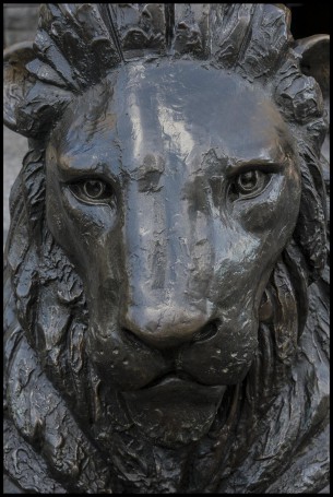 This lion never sleeps at City Hall Brisbane=