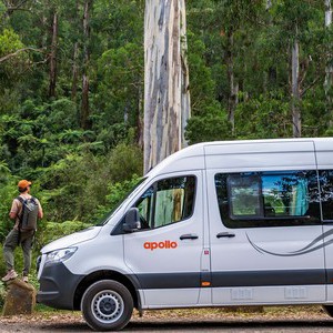 Apollo Endeavour AU Forest Hikers Apollo Endeavour AU Forest Hikers