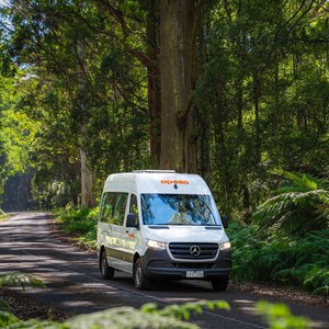Apollo Endeavour AU Forest Road Apollo Endeavour AU Forest Road