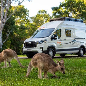 Britz Voyager AU Camper with Kangaroos