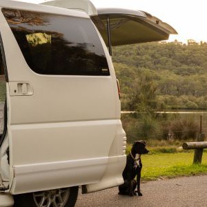 AW SC Campervan – 2 Berth AU Exterior Side View With Dog