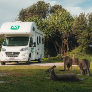 Go Cheap Derwent Motorhome – 6 Berth Front View Go Cheap Derwent Motorhome – 6 Berth Front View