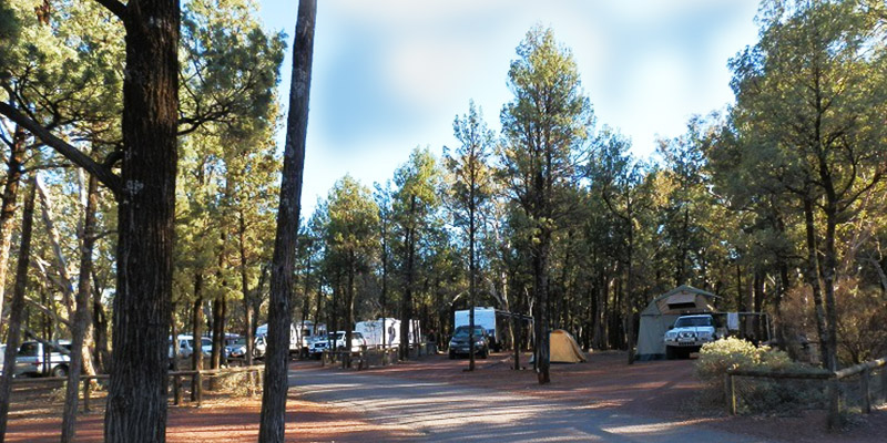 Wilpena Pound Campground