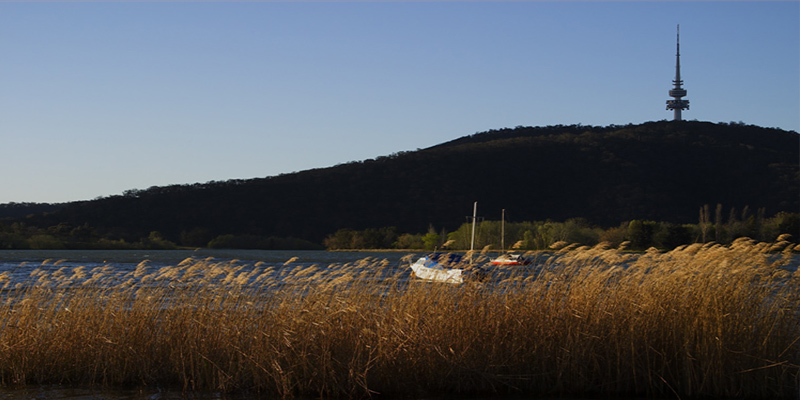 Black Mountain & The Telstra Tower, Canberra