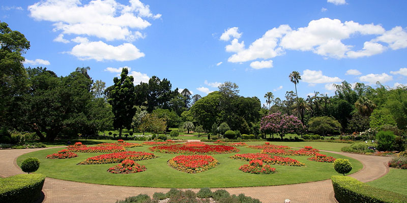 City Botanical Gardens, Brisbane