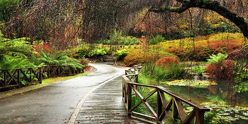 Dandenong Ranges