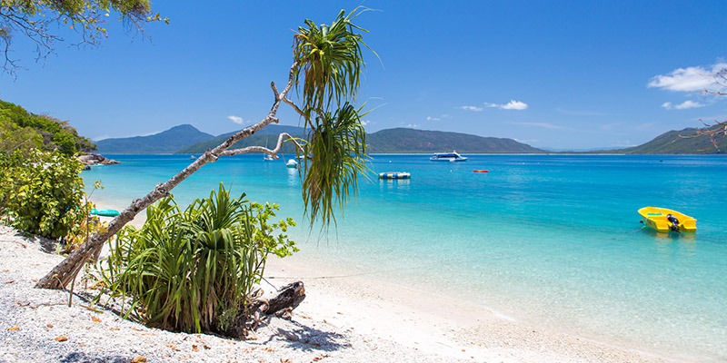 Fitzroy Island