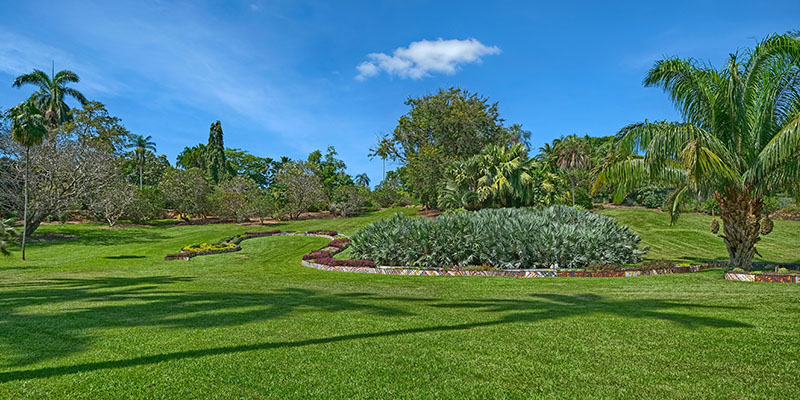 George Brown Darwin Botanic Gardens