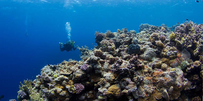 Great Barrier Reef