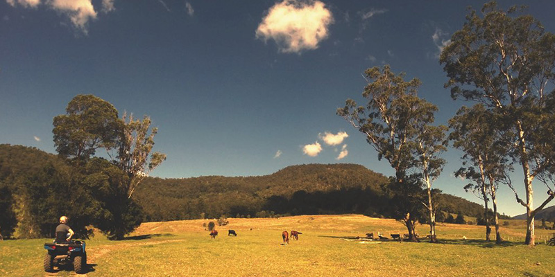 Gold Coast Hinterland