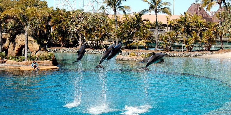 Sea World, Gold Coast