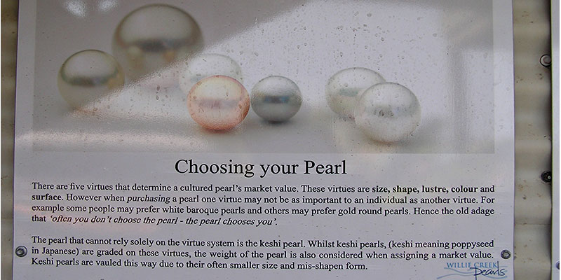 Willie Creek Pearls