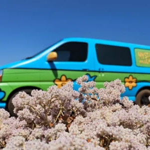 CV Compact 3 Berth Side View 2 CV Compact 3 Berth Side View 2