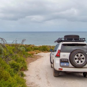 RS Land Cruiser Prado 4WD Back View