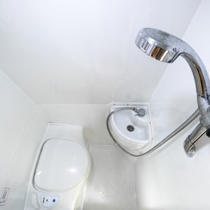 Apollo Euro Plus AU Toilet Sink and Shower